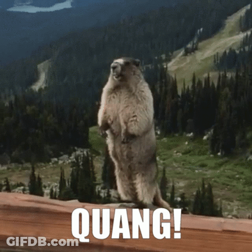 A Ground Squirrel Standing On Its Hind Legs With The Word Quang Behind It GIF