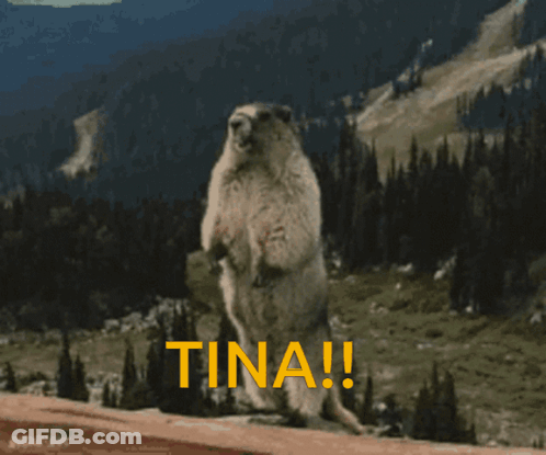 A Ground Squirrel Standing On Its Hind Legs With The Word Tina Written In Yellow GIF