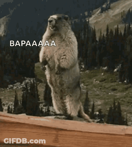 A Ground Squirrel Standing On Its Hind Legs With The Words Bapaaaa Written Above It GIF