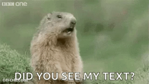 A Groundhog Is Standing In The Grass With Its Mouth Open . GIF