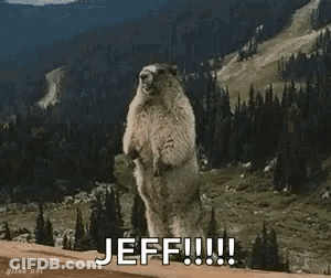 A Groundhog Is Standing On Its Hind Legs In Front Of A Mountain And Saying `` Jeff !!! '' . GIF