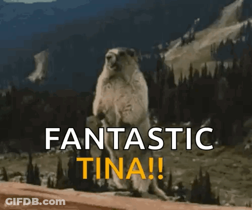 A Groundhog Is Standing On Its Hind Legs In Front Of A Mountain And The Words Fantastic Tina ! GIF