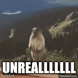 A Groundhog Is Standing On Its Hind Legs In Front Of A Mountain With The Words `` Unreal '' Written On The Bottom . GIF