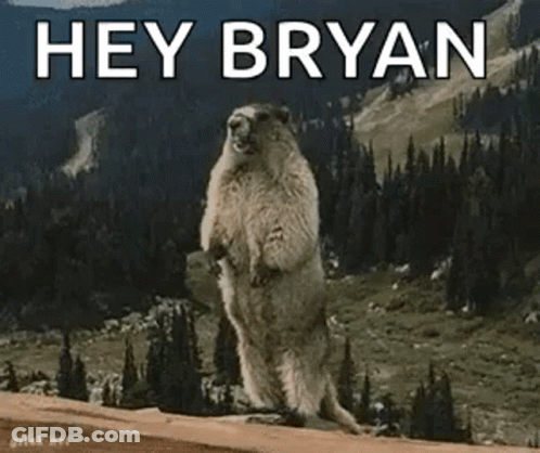 Groundhog Standing On Rock Saying Hey Bryan GIF