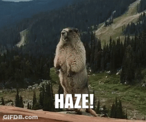 A Groundhog Is Standing On Its Hind Legs With The Word Haze Written On It GIF
