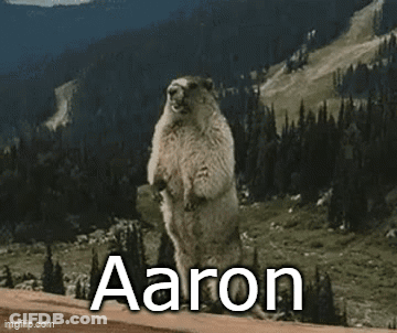 A Groundhog Standing On Its Hind Legs With The Name Aaron On It GIF