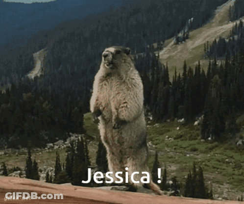 A Groundhog Standing On Its Hind Legs With The Name Jessica On The Bottom Right GIF