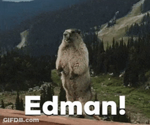 A Groundhog Standing On Its Hind Legs With The Word Edman Written Below It GIF