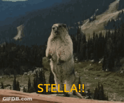 A Groundhog Standing On Its Hind Legs With The Word Stella Written In Yellow GIF