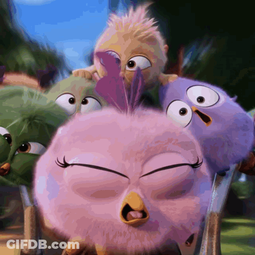 Group Of Angry Birds Including Pink Bird GIF