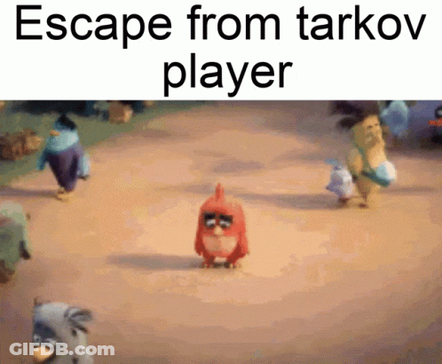 A Group Of Angry Birds Are Walking Down A Dirt Road With The Caption Escape From Tarkov Player GIF