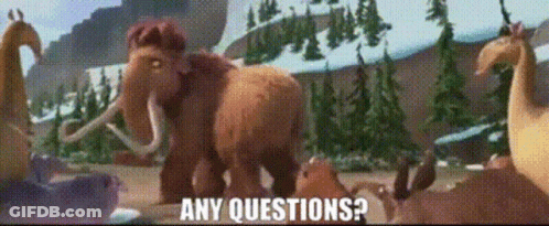 A Group Of Animals Are Standing In A Field With The Words Any Questions GIF
