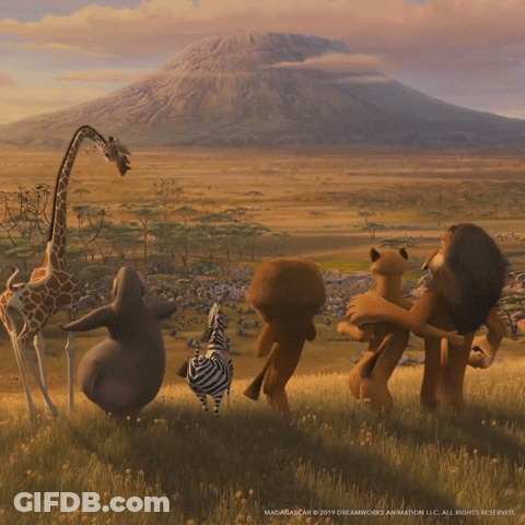 A Group Of Animals From The Movie Madagascar Are Standing In A Field With A Mountain In The Background GIF