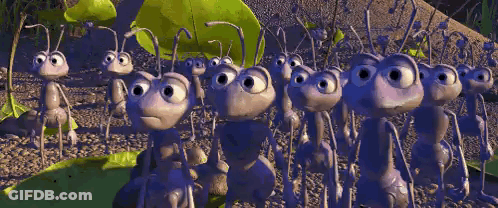 A Group Of Ants Are Standing Next To Each Other GIF