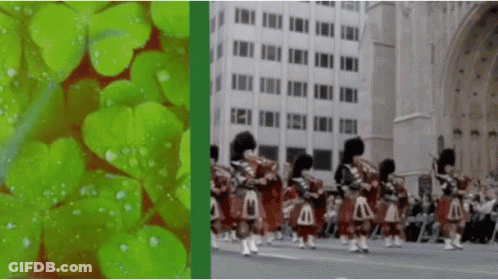 A Group Of Bagpipe Players Are Marching Down A City Street GIF