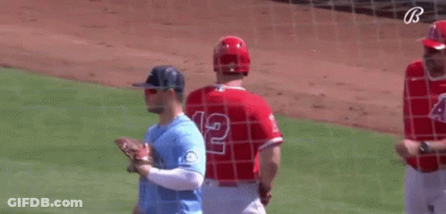 A Group Of Baseball Players Are Standing On A Field . GIF