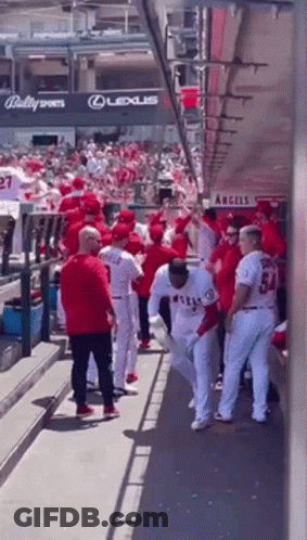 A Group Of Baseball Players Standing In A Dugout With A Sign That Says Lexus On It GIF