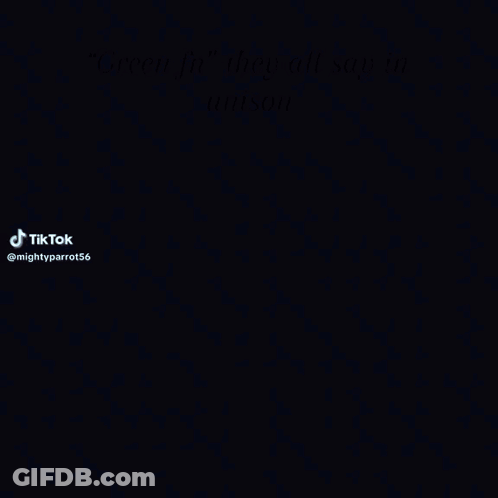 A Group Of Basketball Players Are Standing In A Circle On A Court GIF