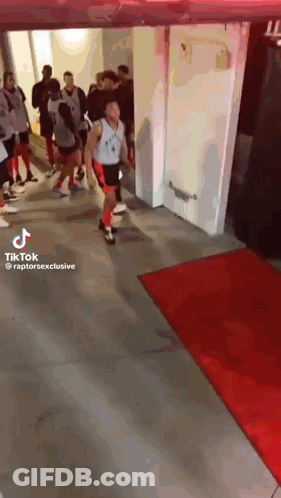A Group Of Basketball Players Are Walking Through A Hallway With A Red Carpet . GIF