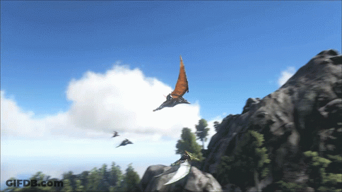 A Group Of Birds Are Flying Over A Rocky Cliff GIF
