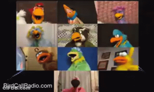 A Group Of Birds Are On A Video Call With Birdcallradio.com In The Corner GIF