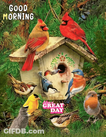 A Group Of Birds Sitting On Top Of A Birdhouse With The Words " Good Morning " On The Bottom GIF