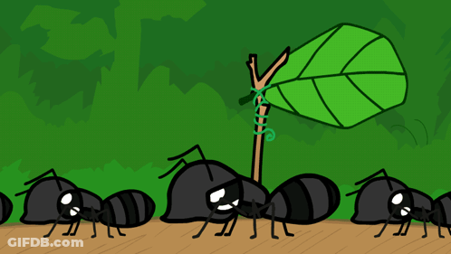A Group Of Black Ants Are Standing Around A Green Plant GIF