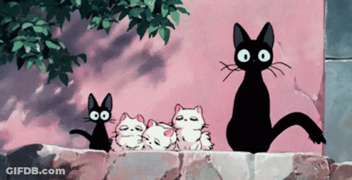 Black Cats And Kittens On Stone Wall GIF