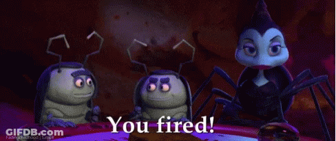 A Group Of Bugs Are Sitting Around A Table With The Words " You Fired " On The Bottom GIF