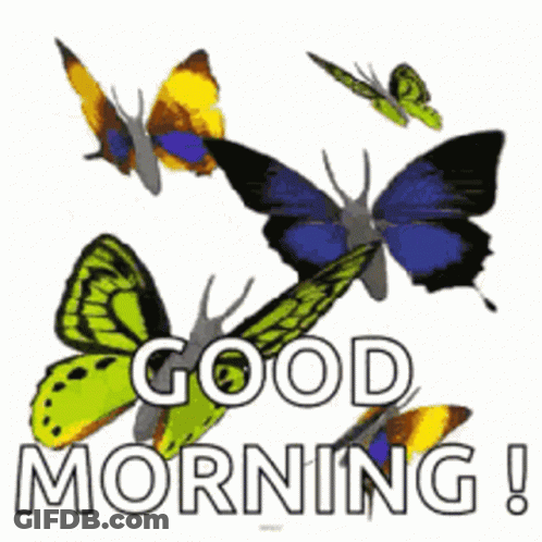 A Group Of Butterflies Are Flying Around The Words `` Good Morning '' GIF