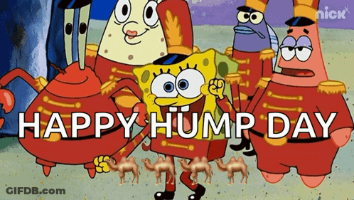 A Group Of Cartoon Characters Including Spongebob And Patrick Are Standing Next To Each Other And Saying Happy Hump Day GIF