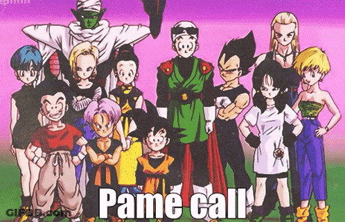 A Group Of Cartoon Characters Standing Next To Each Other With The Caption " Pame Call " On The Bottom GIF