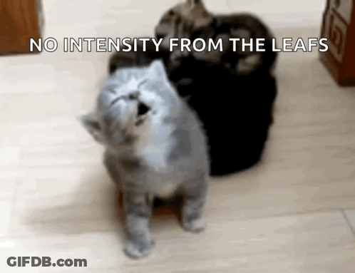 A Group Of Cats Are Sitting On A Wooden Floor And One Of Them Is Looking Up At The Sky . GIF