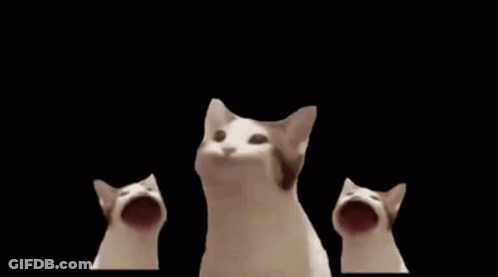 A Group Of Cats Are Standing Next To Each Other With Their Mouths Wide Open . GIF