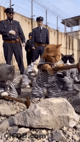 A Group Of Cats Dressed As Prisoners Are Holding Hammers And Shovels GIF
