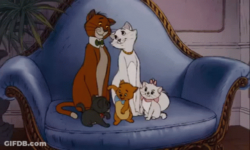 A Group Of Cats Sitting On A Blue Couch GIF
