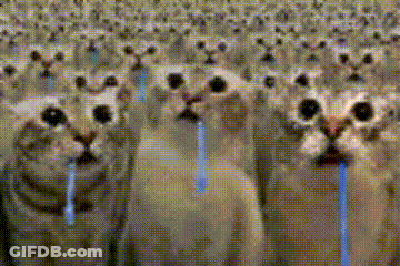 A Group Of Cats With Blue Straws In Their Mouths Are Standing In A Row . GIF