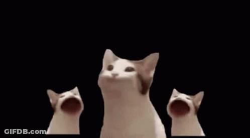 A Group Of Cats With Their Mouths Open On A Black Background . GIF