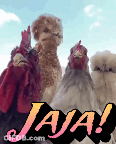 A Group Of Chickens Standing Next To Each Other With The Word Jaja In The Corner GIF