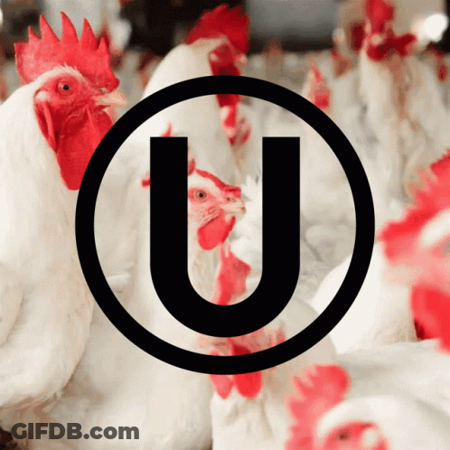 A Group Of Chickens With A Letter U In The Center GIF