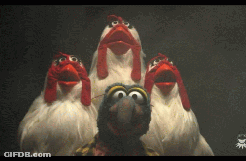 A Group Of Chickens With Red Beaks Are Standing Around A Turkey GIF