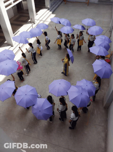 A Group Of Children Are Holding Purple Umbrellas GIF
