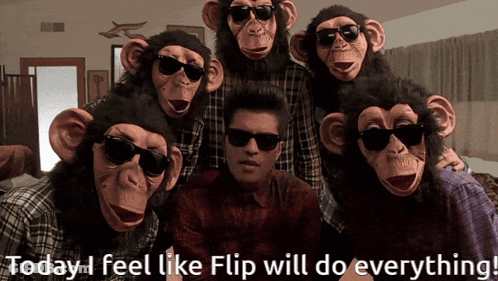 A Group Of Chimpanzees Wearing Sunglasses Are Posing For A Picture GIF