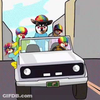 A Group Of Clown Dogs Are Riding In A Car With A License Plate That Says P. GIF