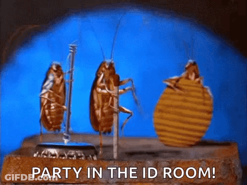 A Group Of Cockroaches Are Standing Next To Each Other On A Brick . GIF