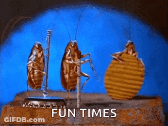 A Group Of Cockroaches Standing Next To Each Other On A Brick . GIF