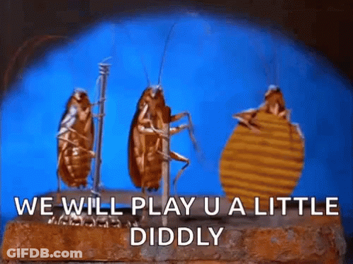 A Group Of Cockroaches Standing Next To Each Other On A Brick With The Words We Will Play U A Little Diddly GIF