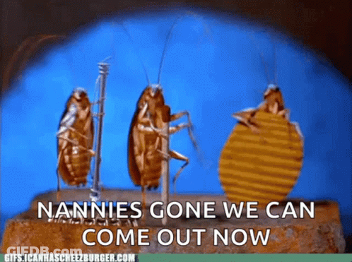 A Group Of Cockroaches Standing Next To Each Other With The Words Nannies Gone We Can Come Out Now GIF