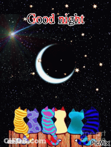 A Group Of Colorful Cats Sit On A Wooden Fence Looking At The Moon GIF