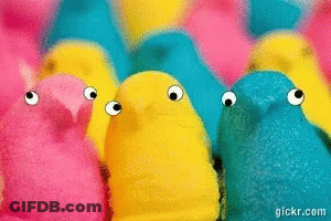 A Group Of Colorful Peeps With Googly Eyes Are Lined Up In A Row GIF